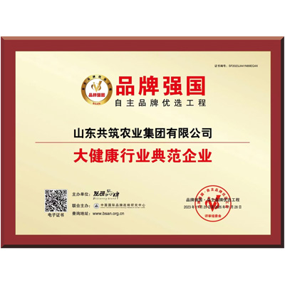 荣誉展示